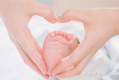 http://dalian.51dzb.net/post/188.html|大连新闻中心